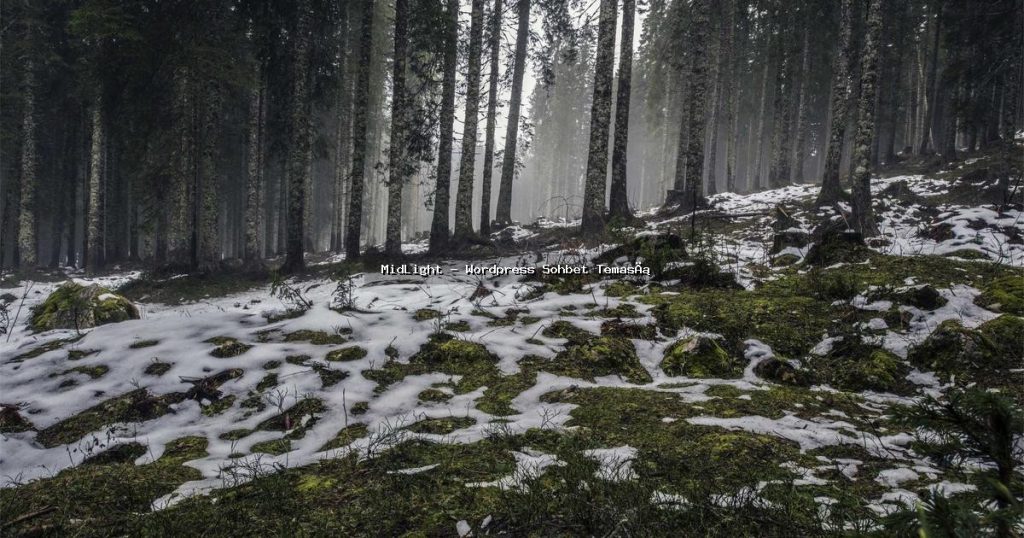 İnsanların İfade Edemediği “Chat” Konuşmaları