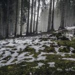 İnsanların İfade Edemediği “Chat” Konuşmaları