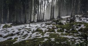 İnsanların İfade Edemediği “Chat” Konuşmaları